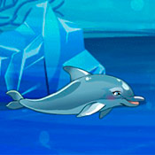 скрин игры Шоу дельфинов 8